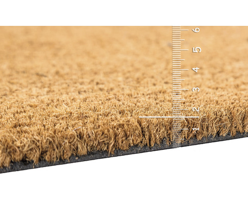 Kokosmatte mit einer Dicke von circa zwei Zentimetern.