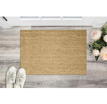 Paillasson en fibres naturelles devant une porte d''entrée avec décoration et chaussures