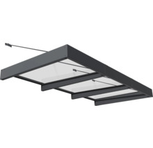 Auvent avec toit en verre