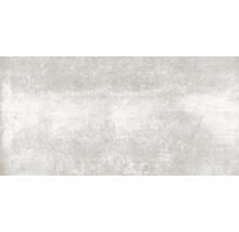 Carrelage sol et mur en grès cérame fin Globus steel 60x120 cm