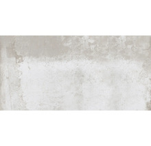 Carrelage sol et mur en grès cérame fin Globus steel 60x120 cm