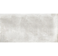 Carrelage sol et mur en grès cérame fin Globus steel 60x120 cm