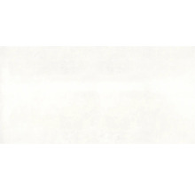 Carrelage sol et mur en grès cérame fin Globus platinum 60x120 cm
