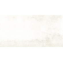 Carrelage sol et mur en grès cérame fin Globus platinum 60x120 cm