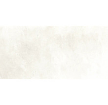 Carrelage sol et mur en grès cérame fin Globus platinum 60x120 cm