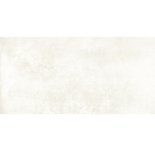 Carrelage sol et mur en grès cérame fin Globus platinum 60x120 cm