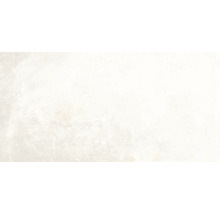 Carrelage sol et mur en grès cérame fin Globus platinum 60x120 cm