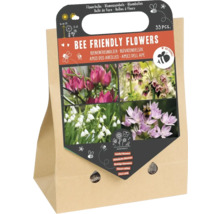 Bienengerechte Blumenmischung im Papierbeutel, 33 Stück