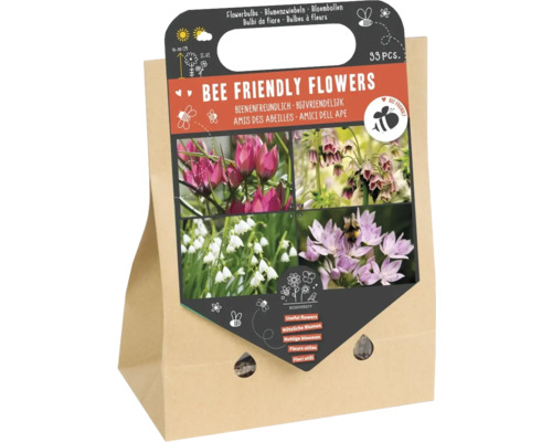 Blumenzwiebel Mischung 'Bienenfreundliche Blumen I' mit Tulpe, Allium & Sommerknotenblume 33 Stück Blumenzwiebel Mischung 'Bienenfreundliche Blumen I' mit Tulpe, Allium & Sommerknotenblume 33 Stück