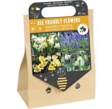 Blumenzwiebeln, bienenfreundlich, 40 Stück in einer Papiertüte