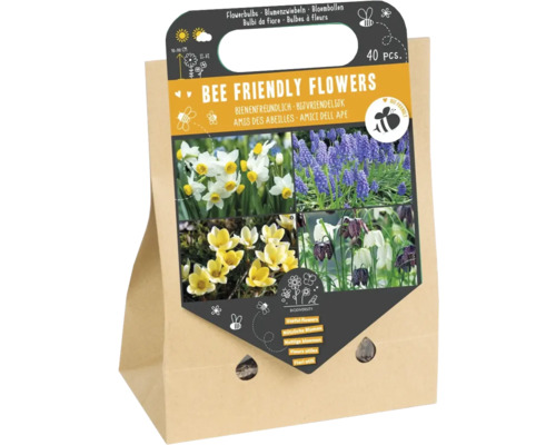 Blumenzwiebel Mischung 'Bienenfreundliche Blumen I' mit Narzisse, Traubenhyazinthe, Krokus & Schachbrettblume 40 Stück Blumenzwiebel Mischung 'Bienenfreundliche Blumen I' mit Narzisse, Traubenhyazinthe, Krokus & Schachbrettblume 40 Stück