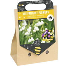 Bienefreundliche Blumen Blumenzwiebeln Packung