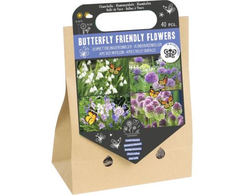 Blumenzwiebel Mischung 'Schmetterlingsfreundliche Blumen' mit Allium, Blaustern & Sommerknotenblume mit 40 Stück Blumenzwiebel Mischung 'Schmetterlingsfreundliche Blumen' mit Allium, Blaustern & Sommerknotenblume mit 40 Stück