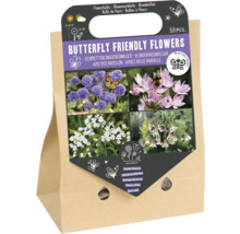 Mélange de bulbes de fleurs 'Fleurs qui attirent les papillons II' avec allium/mélange d'ail à boule étoilée 50 pièces
