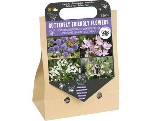 Blumenzwiebel Mischung 'Schmetterlingsfreundliche Blumen II' mit Allium/Zierlauch-Mix 50 Stück Blumenzwiebel Mischung 'Schmetterlingsfreundliche Blumen II' mit Allium/Zierlauch-Mix 50 Stück