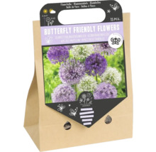 Blumenzwiebeln für schmetterlingsfreundliche Blumen in Papierverpackung