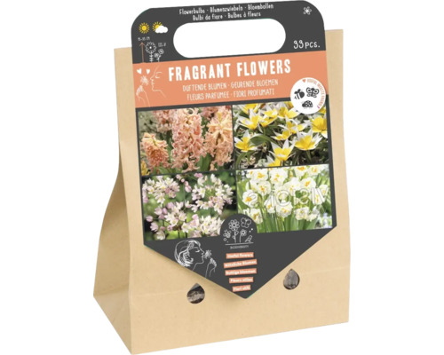 Blumenzwiebel Mischung 'Duftende Blumen' mit Tulpe, Narzisse, Allium & Hyazinthe 33 Stück Blumenzwiebel Mischung 'Duftende Blumen' mit Tulpe, Narzisse, Allium & Hyazinthe 33 Stück