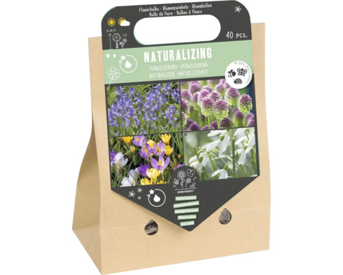 Bulbes à fleurs Naturalizing, 40 pièces