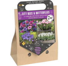 Blumenzwiebeln Mischung für Bienen und Schmetterlinge, 40 Stück