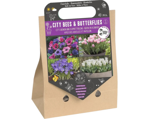 Blumenzwiebel Mischung 'City Bienen & Schmetterlinge' mit Krokus, Tulpe & Anemone 40 Stück