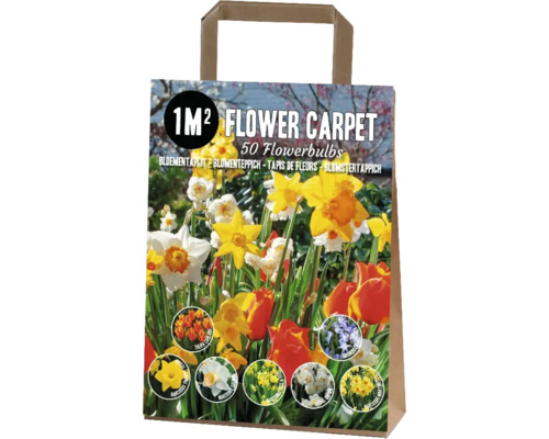 Blumenzwiebel Teppich für 1 m² Flower Carpet Kashmir' mit Tulpe, Narzisse & Chionodoxa Blumenzwiebel Teppich für 1 m² Flower Carpet Kashmir' mit Tulpe, Narzisse & Chionodoxa