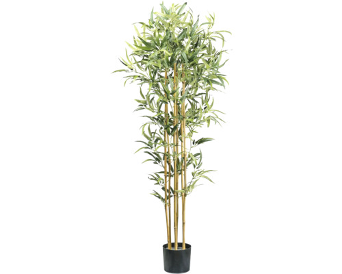 Kunstpflanze Bambus H 155 cm grün