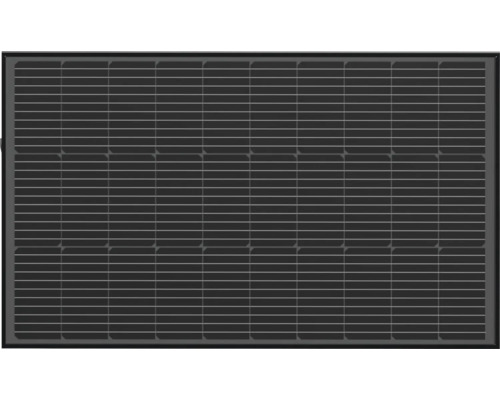 Panneau solaire EcoFlow 2 x 100 W