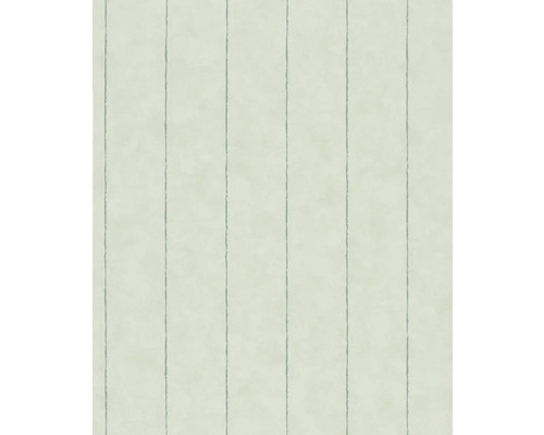 Papier peint intissé 34405 Shades vert Papier peint à rayures