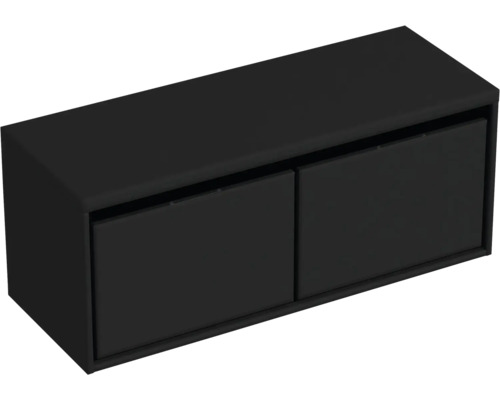 Schwarzer Hängeschrank mit zwei Türen