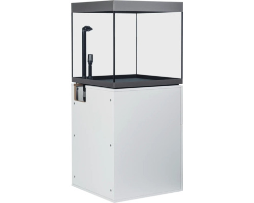 Combinaison aquarium avec meuble