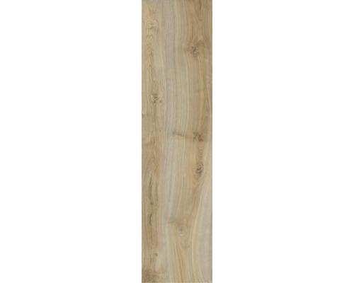 Feinsteinzeug Terrassenplatte Silentwood miele 30 x 120 x 2 cm