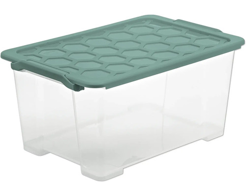Transparente Aufbewahrungsbox mit Deckel