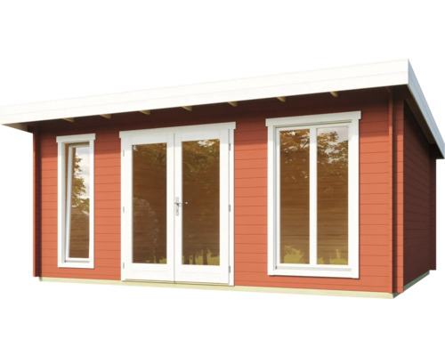 Abri de jardin avec fenêtres et porte double