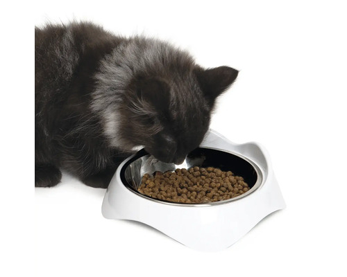 Un chat mange dans une gamelle blanche pour chat.