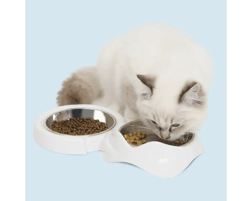 Chat mange dans une gamelle double avec de la nourriture