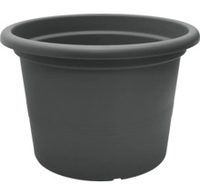 Pot de fleurs en plastique