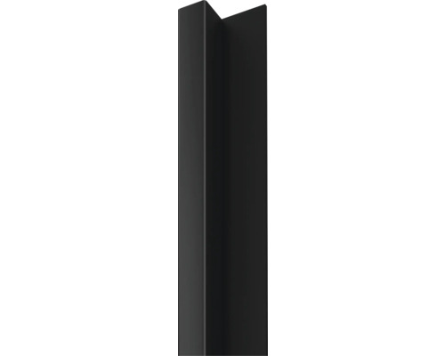 Dekorpaneel Linea Slim 1 schwarz 30x54x2650 mm