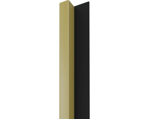 Panneau décoratif Linea Slim 1 or noir 30x54x2650 mm