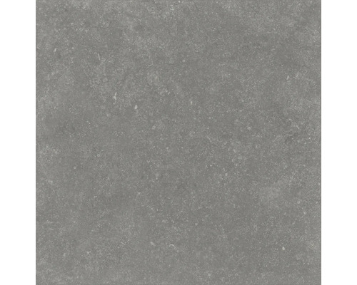 Dalle de terrasse en grès cérame fin FLAIRSTONE Skyfall grey bord rectifié 60 x 60 x 2 cm Carrelage de sol gris