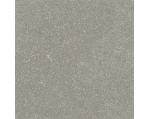 Carreau de sol gris avec surface mate.