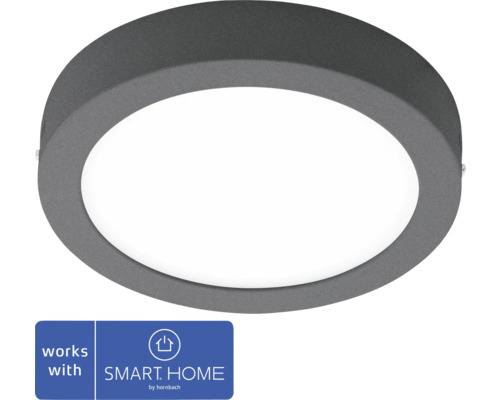 Applique murale et plafonnier LED Argolis 16,5W anthracite - compatbile avec SMART HOME by hornbach