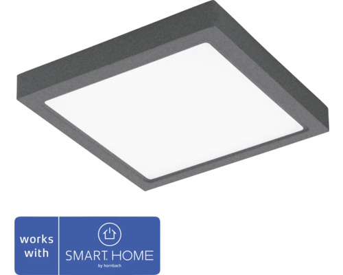 Applique murale et plafonnier LED Argolis 22W anthracite - compatbile avec SMART HOME by hornbach