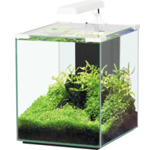 Aquarium aquatlantis Nano Cubic 30 mit Frostglasrückseite, LED-Beleuchtung, Filter, Heizer, Pumpe weiss (ohne Schrank)-thumb-0