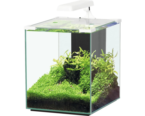 Aquarium aquatlantis Nano Cubic 30 mit Frostglasrückseite, LED-Beleuchtung, Filter, Heizer, Pumpe weiss (ohne Schrank)-0