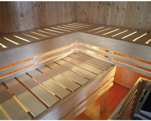 Ampoules de sauna et haut-parleur pour sauna