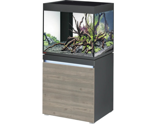 Kit complet d'aquarium EHEIM incpiria 230 avec éclairage LED et meuble bas éclairé graphite/chêne rustique