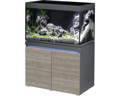 Kit complet d'aquarium EHEIM incpiria 330 avec éclairage LED et meuble bas éclairé graphite/chêne rustique