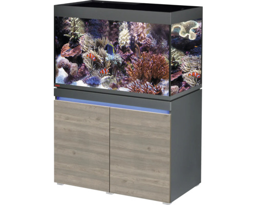 Kit complet d'aquarium EHEIM incpiria 330 marine avec éclairage LED, pompe d'alimentation, bassin filtrant et meuble bas éclairé graphite/chêne rustique