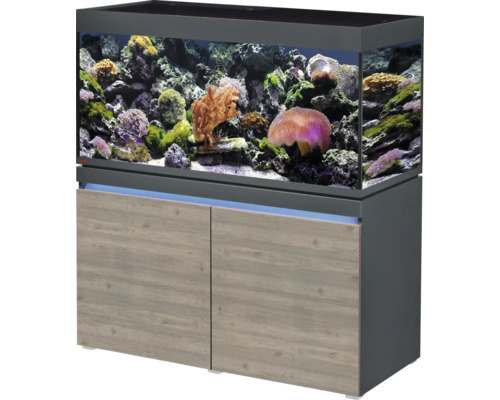 Kit complet d'aquarium EHEIM incpiria 430 marine avec éclairage LED, pompe d'alimentation, bassin filtrant et meuble bas éclairé graphite/chêne rustique