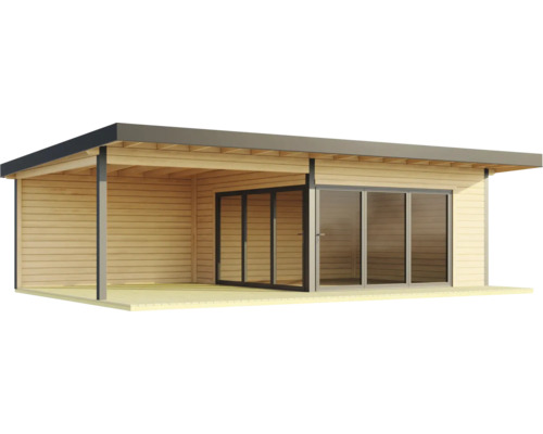 Abri de jardin en bois avec porte coulissante et auvent